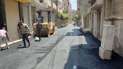 رفع القمامة والرصف والرش ضد الباعوض في أبوكبير بالشرقية 