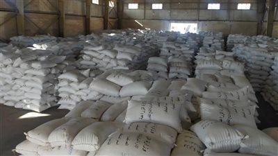 الزراعة تستعد مبكرا لموسم القمح المقبل (صور)