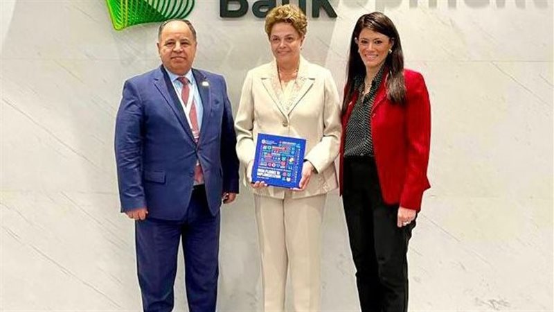 المشاط ووزير المالية