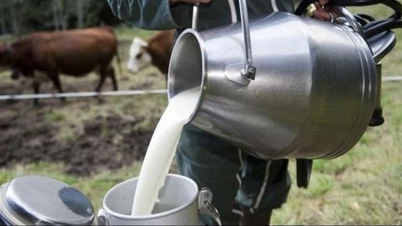 الألبان اليوم بمحافظة