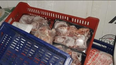 ضبط 195 كيلو لحوم مجمدة غير صالحة للاستهلاك الآدمي بالأقصر 