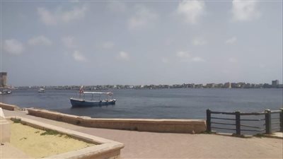  نشاط مكثف لجهاز شؤون البيئة بالبحيرة