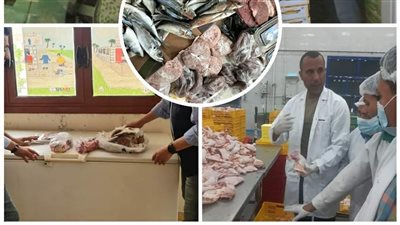 تحرير 19 محضرًا خلال حملات تفتيشية على المطاعم بالبحيرة (صور) 