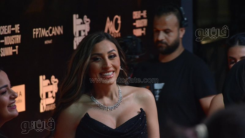 دينا الشربيني، فيتو