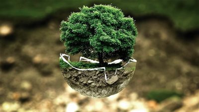 عالمة فنزويلية تدافع عن البيئة من خلال 