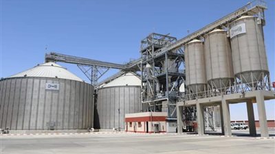 توريد أكثر من 386 ألف طن قمح بنسبة تتخطي 60% بالوادي الجديد 