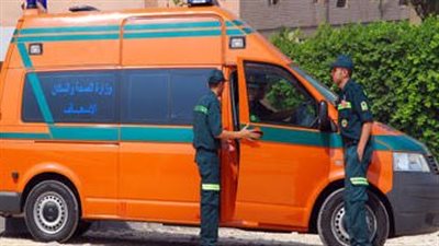 مصرع سبعيني وإصابة نجله في حادث مروري بالوادي الجديد