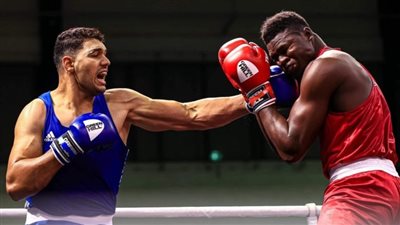 تأجيل البطولة الأفريقية للملاكمة في الكاميرون