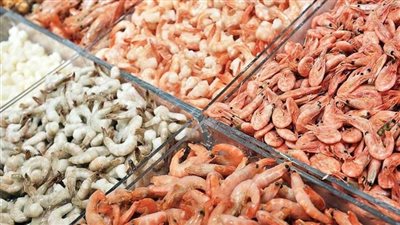 أسعار الأسماك اليوم، 80 جنيهًا أقل سعر لكيلو الجمبري في سوق العبور