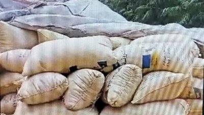 تموين الشرقية: ضبط 34 طن قمح مهربة بفاقوس 