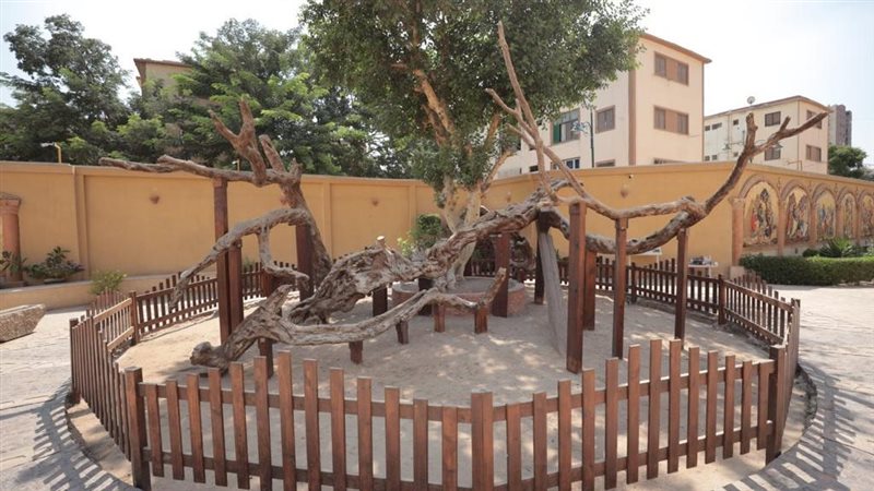 شجرة مريم بالمطرية،