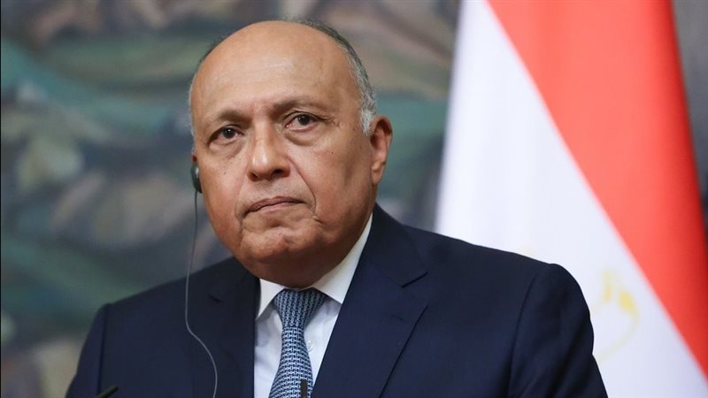 سامح شكرى وزير الخارجية،