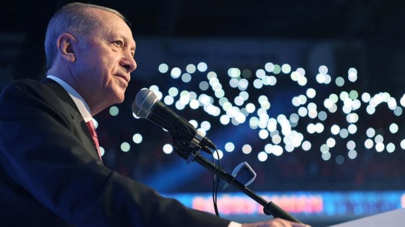 أردوغان، فيتو
