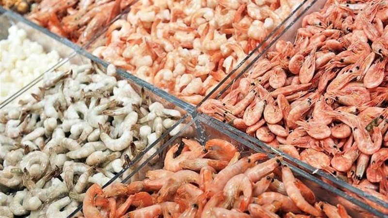 أسعار الأسماك اليوم،