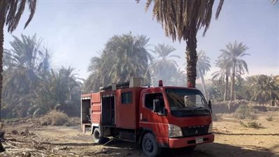 تفحم 70 نخلة في حريق مزرعة بواحة باريس في الوادي الجديد 