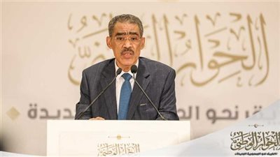  ضياء رشوان يعلن تأجيل انعقاد عدد من جلسات الحوار الوطني غدا بسبب الظروف المناخية 