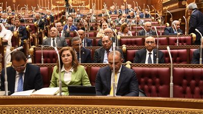 أبرزها ضرورة ترشيد الإنفاق، ملاحظات الشيوخ بشأن خطة التنمية الاقتصادية 