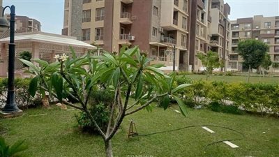 جهاز مدينة حدائق أكتوبر يستجيب لشكاوى المواطنين في ملف الزراعة 