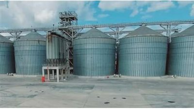 محافظة البحيرة تتخطى نسبة 80٪ من كمية القمح المستهدف توريدها (صور)