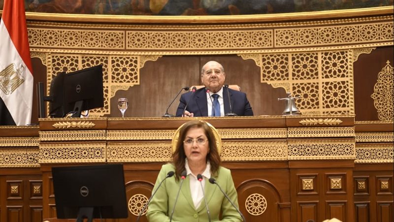 وزيرة التخطيط أمام