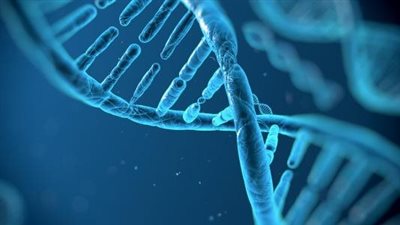 كنوز جينية، استخراج حمض نووي من آثار البشر 