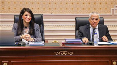 رانيا المشاط: التمويلات طويلة الأجل وبفائدة منخفضة، و483 مليون دولار منح في 2022