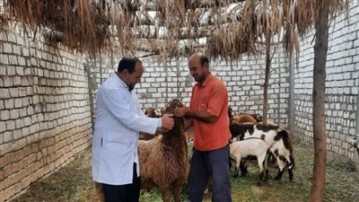 تقديم خدمات طبية وبيطرية ضمن القافلة السكانية بمركز الدلنجات بالبحيرة