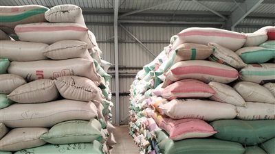 وزير التموين: استلام 3.3 مليون طن قمح واستمرار الموسم حتى منتصف أغسطس المقبل