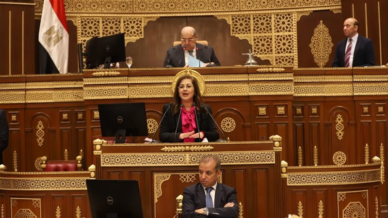 وزيرة التخطيط أمام