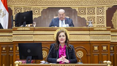 التخطيط: مجلس الشيوخ يوافق على مشروع الخطة للعام المالي الجديد