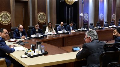 رئيس الوزراء يلتقي الرئيس التنفيذي لشركة 