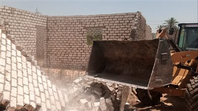 إزالة 56 حالة تعدٍّ على الأراضي الزراعية بأبوصوير في الإسماعيلية (صور)