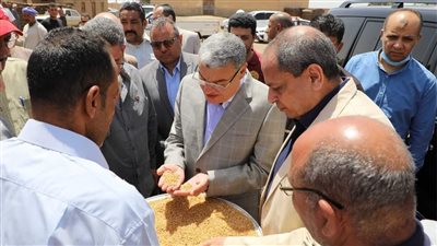 شون وصوامع المنيا تستقبل 401 ألف طن من محصول القمح