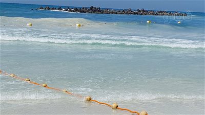 مصايف الإسكندرية: شاطئ النخيل لازال مغلقا وفتحه متوقف على تنفيذ منظومة الإنقاذ 