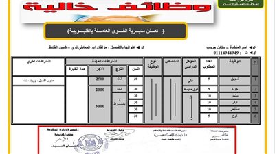  بمرتبات تبدأ من 2500 جنيه.. القليوبية تعلن توفير 399 وظيفة