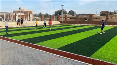 التخطيط تواصل متابعة معايير القرية الخضراء في محافظة الوادي الجديد