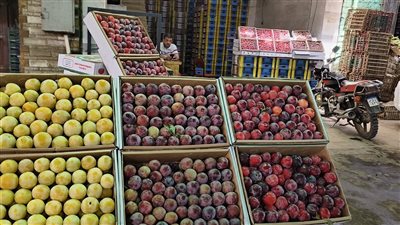 أسعار الفاكهة اليوم الثلاثاء 6-6-2023 في الدقهلية