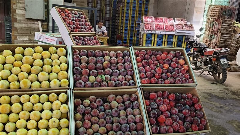 اسعار الفاكهةاليوم،
