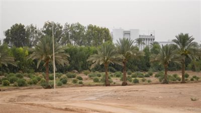 وزيرة البيئة: زراعة 100 فدان من نبات الجوجوبا بمياه الصرف الصحي المعالجة