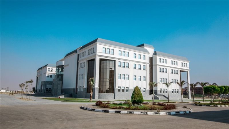 جامعة سيناء، فيتو