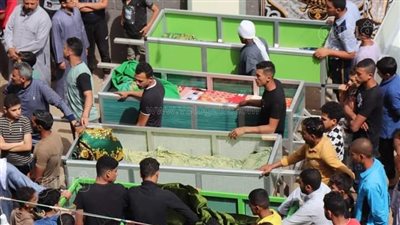 ضحايا لقمة العيش بالغربية، تفاصيل حادث مأساوي يودي بحياة 4 عاملات