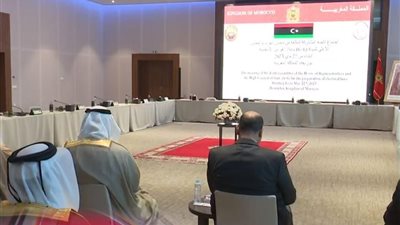 الانتخابات الليبية، تفاؤل بتوافق لجنة 6+6 وباحث يكشف لـ