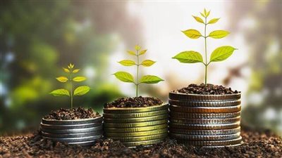 خبير بأسواق المال: نقلة نوعية في دور صناديق الاستثمار بالسوق المصرى