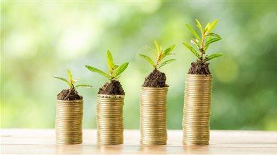 قانون الاستثمار، شروط ترخيص المشروعات في المنطقة الاستثمارية 