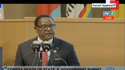 رئيس مالاوي: الدول الإفريقية تعرضت للعديد من التداعيات المدمرة منذ 2017