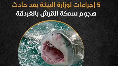 5 إجراءات لوزارة البيئة بعد حادث هجوم سمكة القرش بالغردقة (انفوجراف)