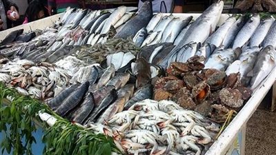أسعار الأسماك اليوم، 40 جنيهًا أقل سعر لكيلو الفيليه البلطي في سوق العبور 