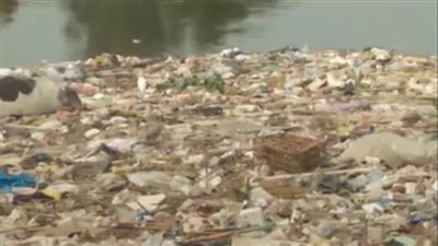 حيوانات نافقة وقمامة في ترعة الشرقاوية بشبين القناطر (صور) 