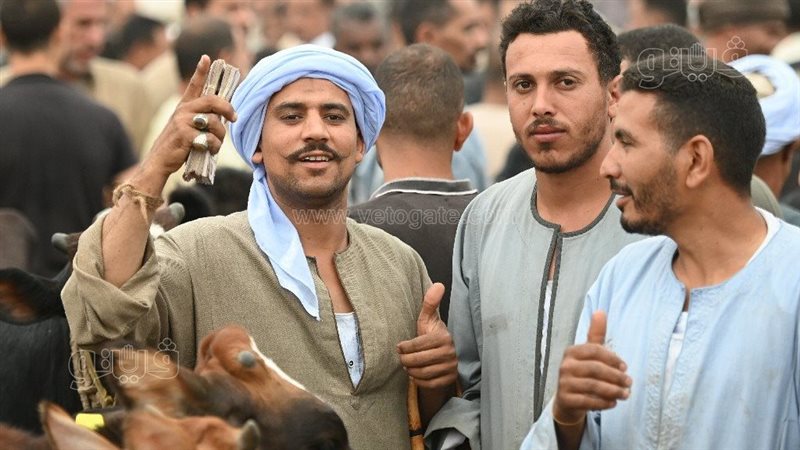 بعض تجار المواشي,