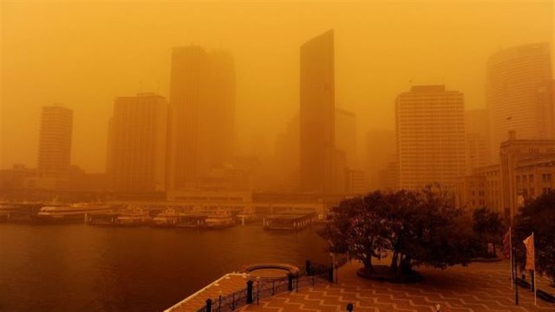 حالة الطقس غدا، فيتو